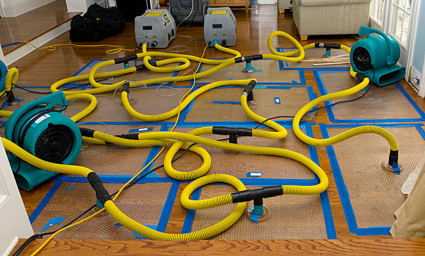 Professional Water Damage Repair technician working in Sebastopol, MS